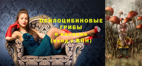 шишки Алексин
