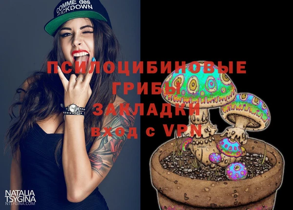 круглые Алзамай