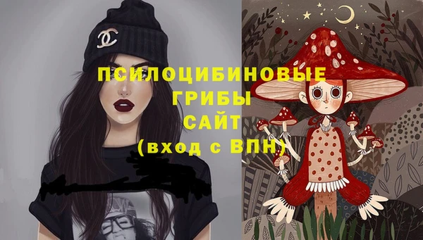 шишки Алексин