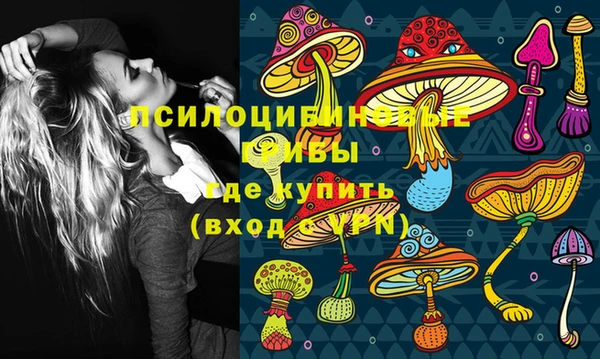 спиды Алексеевка