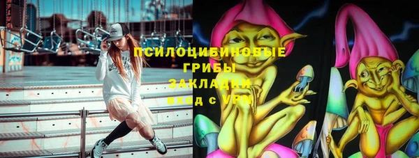 круглые Алзамай
