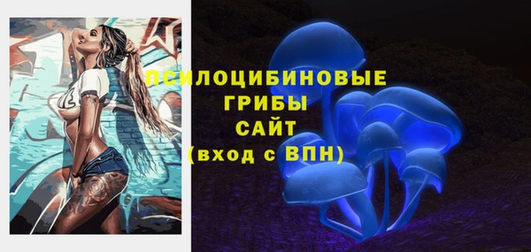 шишки Алексин
