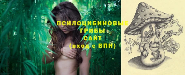 спиды Алексеевка